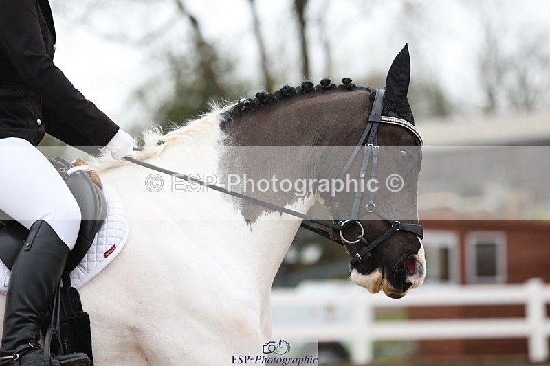 240121A-105602-01174 - Cls 6 Music Novice