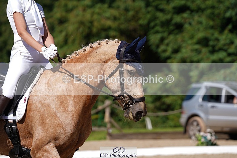 240719-154708-02765 - 103-Elissa_Franks-Golden_queen