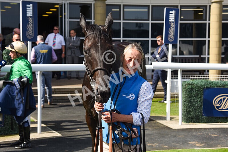 310824-Race 1-Quietness-2618 - Race 1