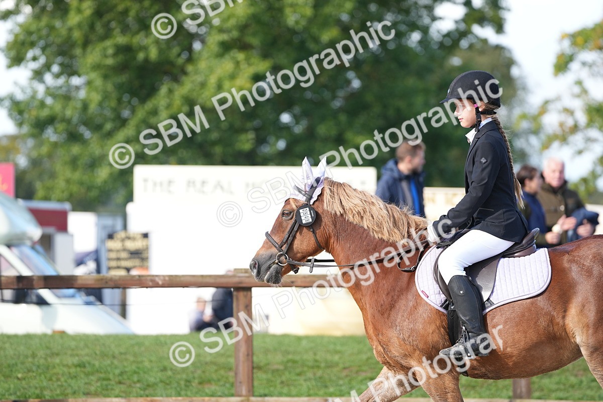 SBM_38242 - J6 - Junior Pony 55cm Championship