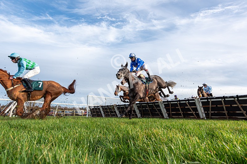 161225-Race 1-Born In The West-3639 - Race 1