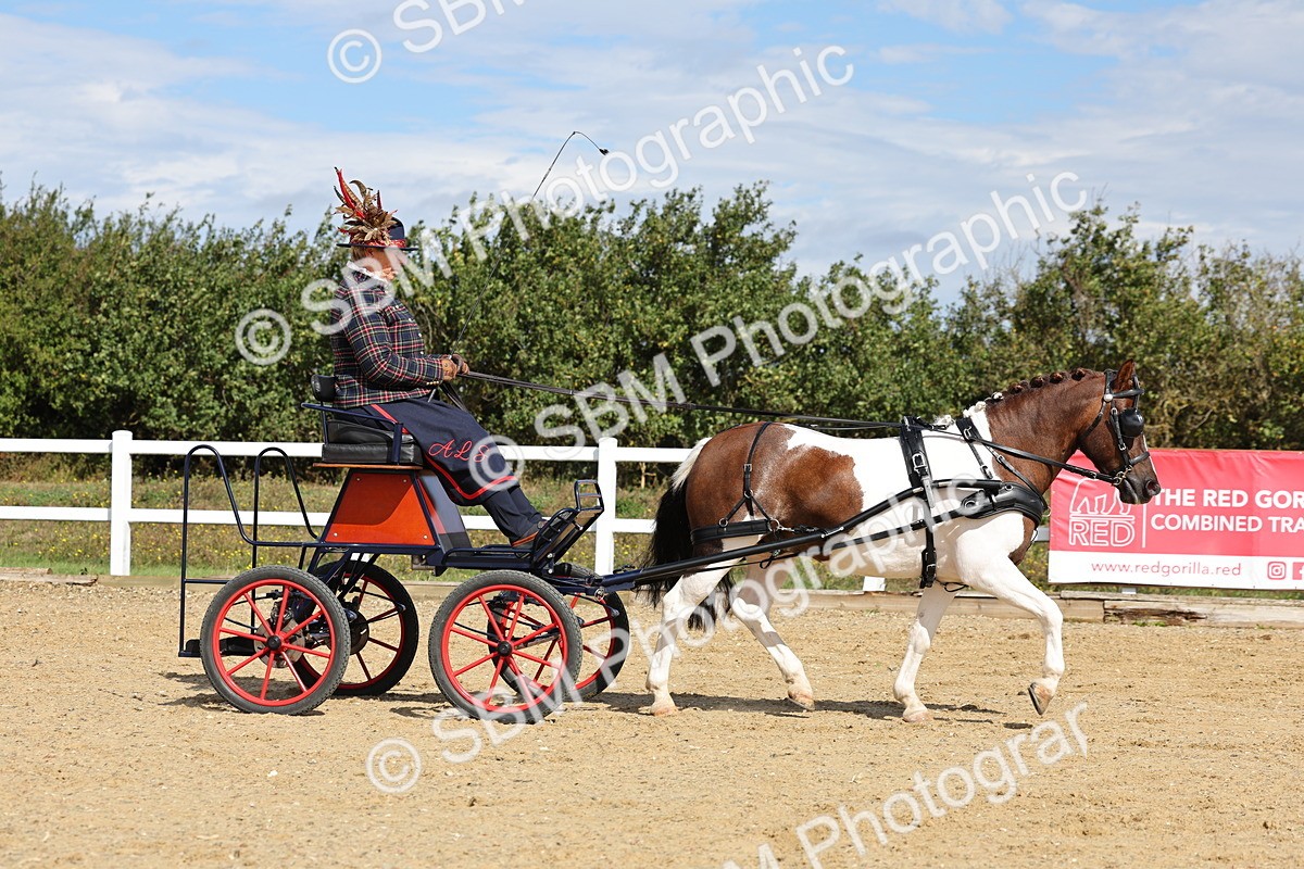 SBM_000894 - Class 8 - Novice Horse or Pony to any vehicle