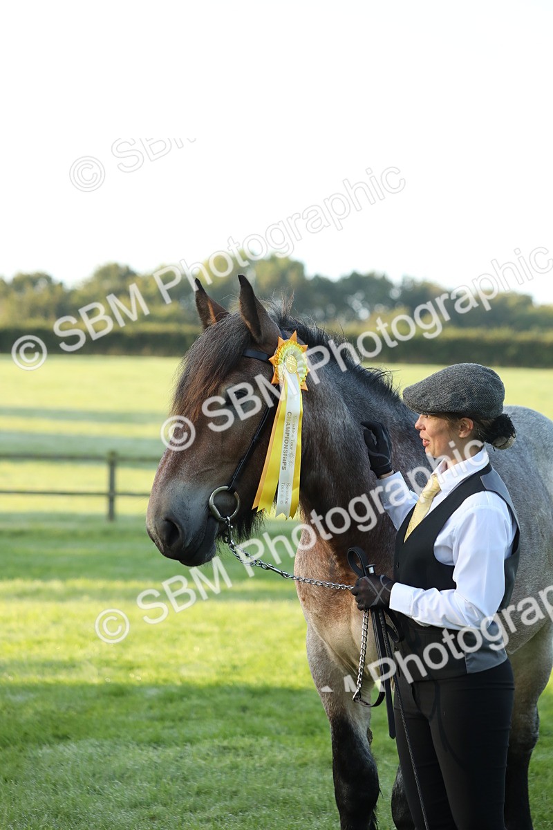 SBM_57891 - S42 - Youngstock