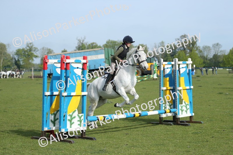 20260426-0168 - Class 13 - Rookie Jumping 50cm