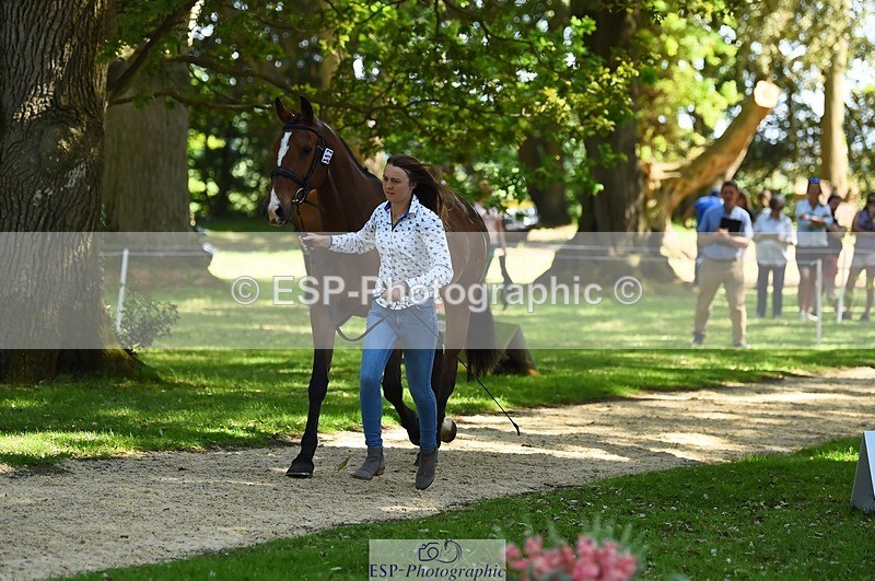 230524-153002-00306 - 352-TEQUILA_SUNRISE-Pippa_Taylor-WEDTrotUp+DR