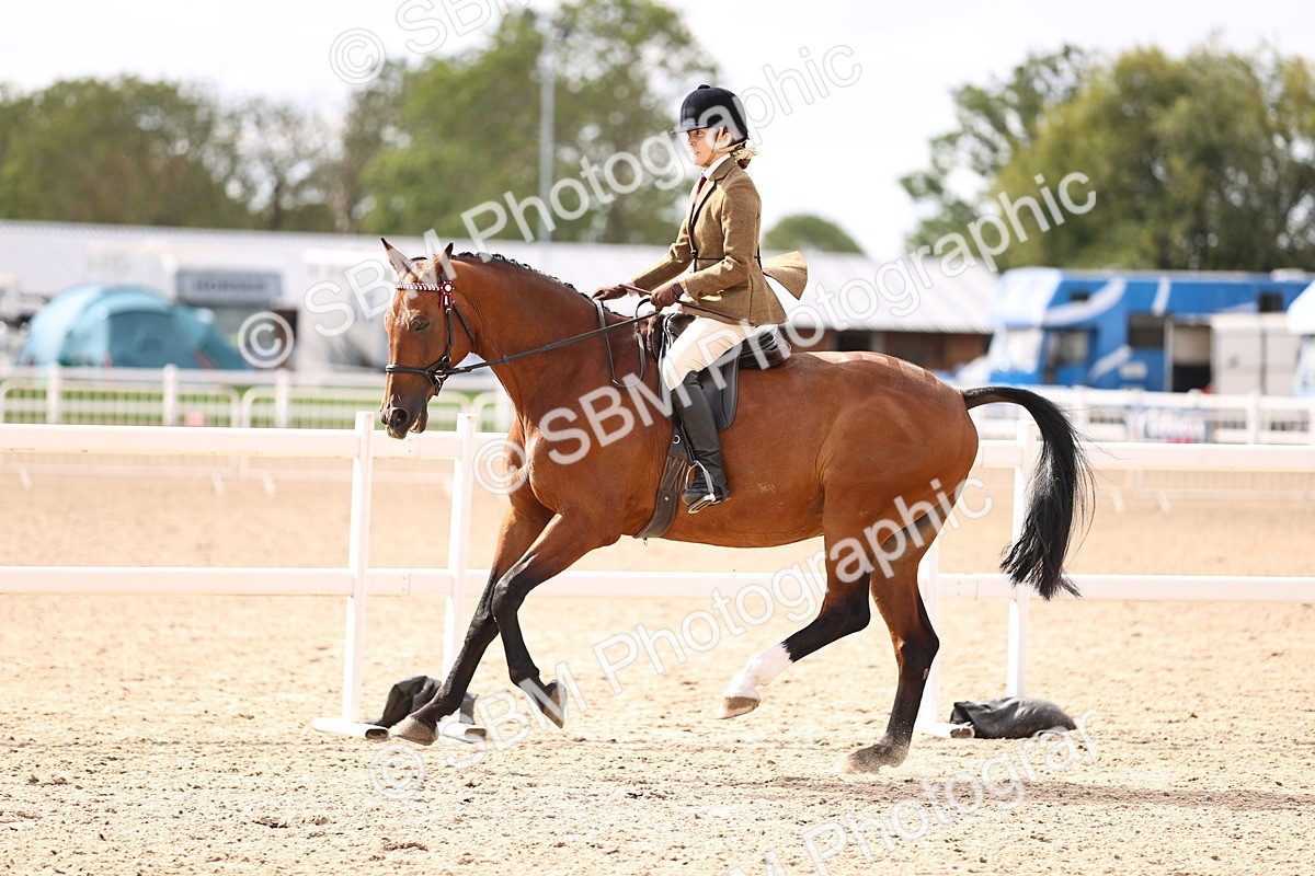 SBM_12941 - Class 410 - Grassroots Ridden - Horse