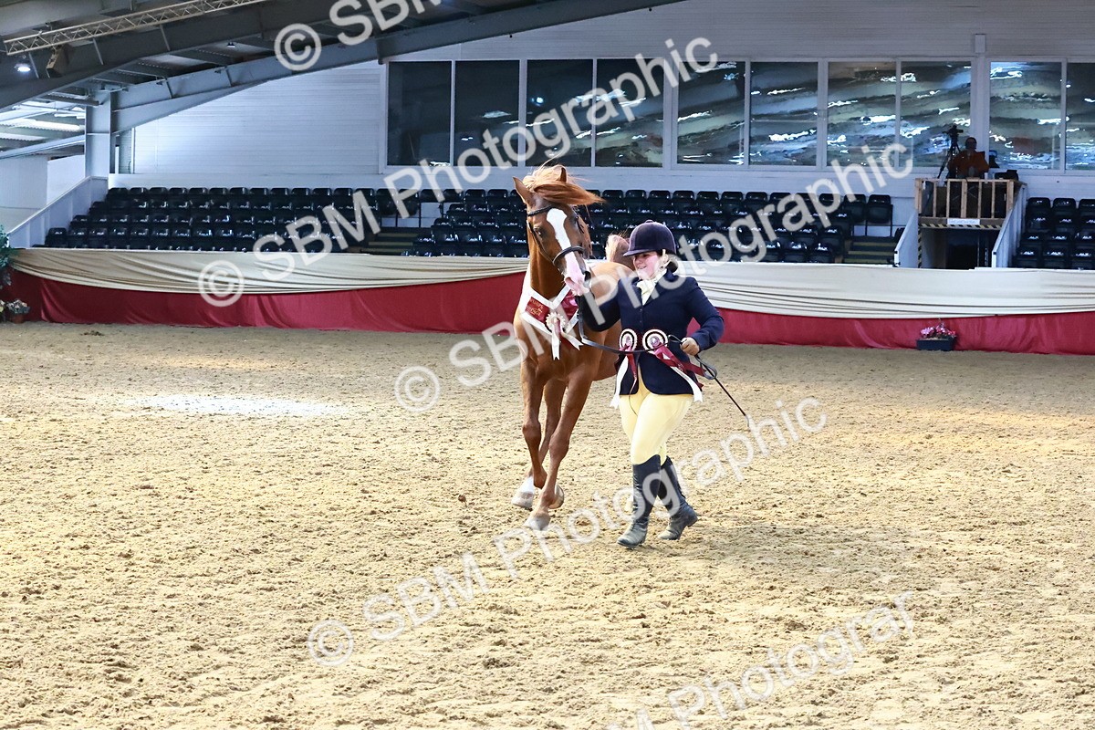 SBM_22458 - Class 902 - Supreme Final - IH Diamond