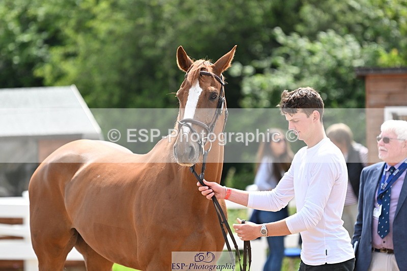 240717A-144221-02214 - Trot Up 2pm to 3pm - This folder is not in time order