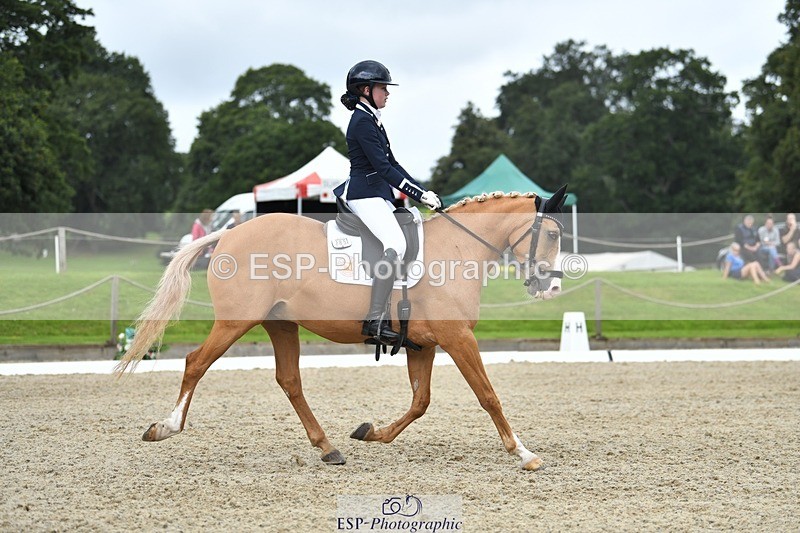 230812-123925-04184 - Cls 6 Novice Silver 12.10 to End