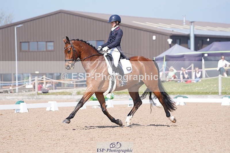 250404-122646-05657 - 028-Elizabeth.Allen-Heraldik