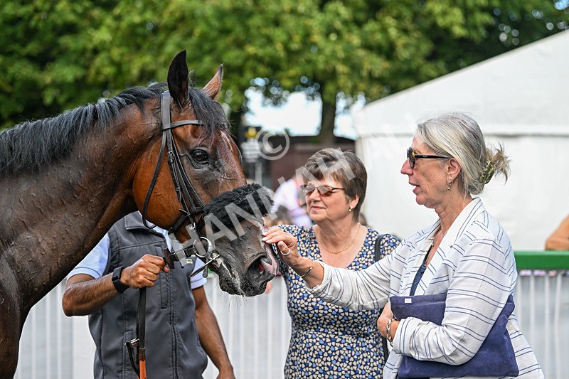 020825-Race 4-Moulin Booj-3214 - Race 4