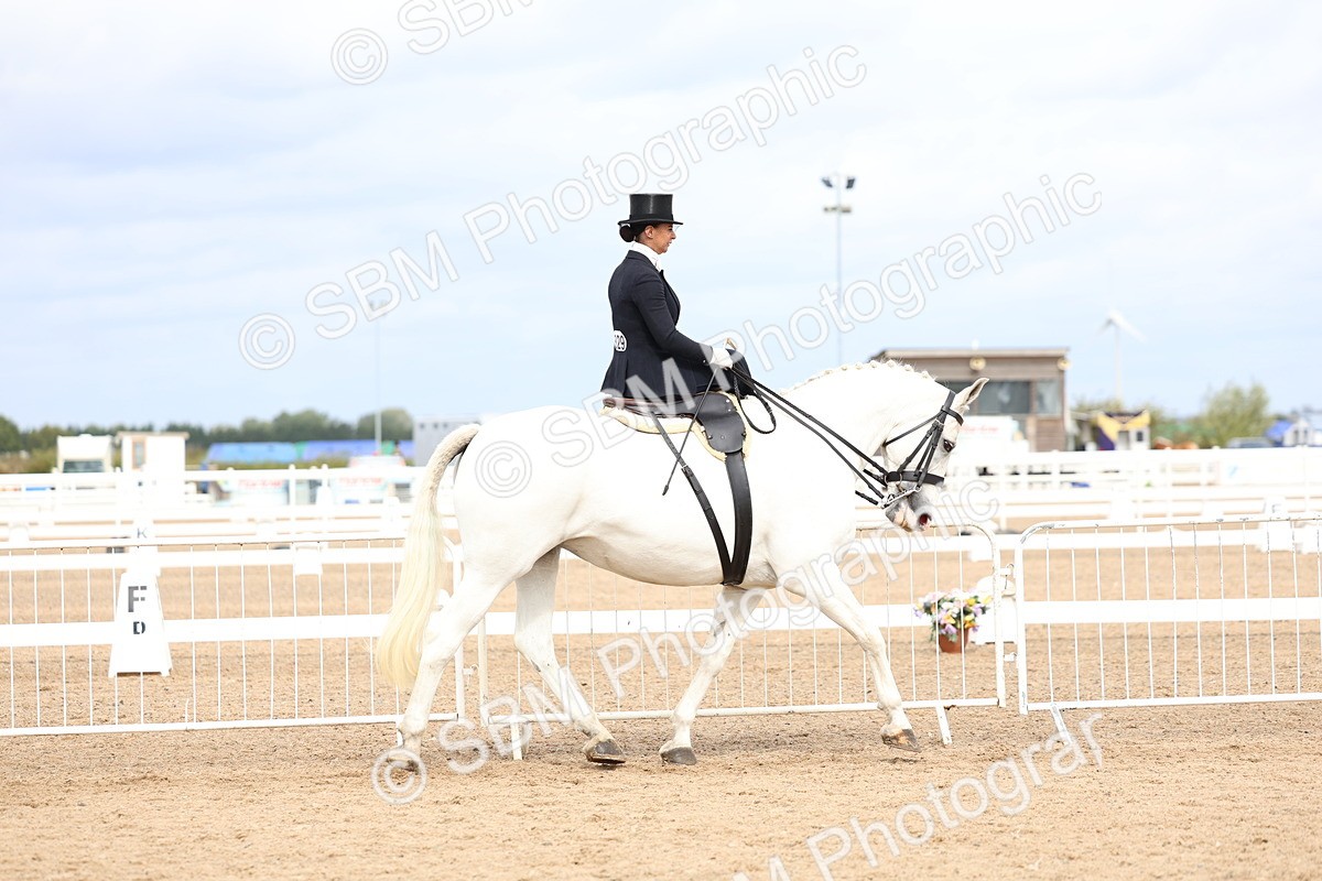 SBM_03394 - Class 24 - SSA Concours d'elegance (any age)