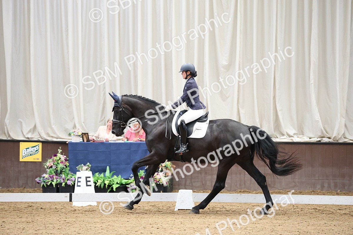SBM_002238 - Class 5 - Novice 6 Gold - 9.00-10.10