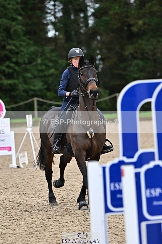 250201A-093807-00030 - Cls 01 Local Horse 90cm