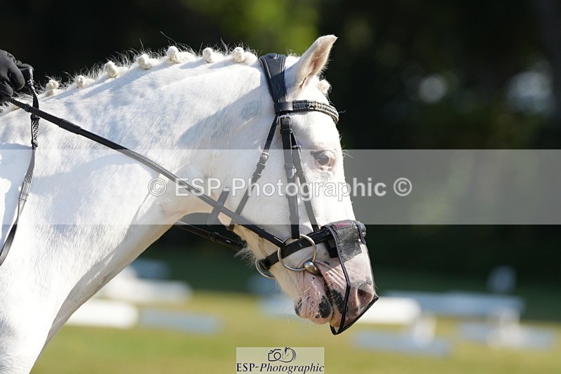 250823A-101524-26665 - Arena B