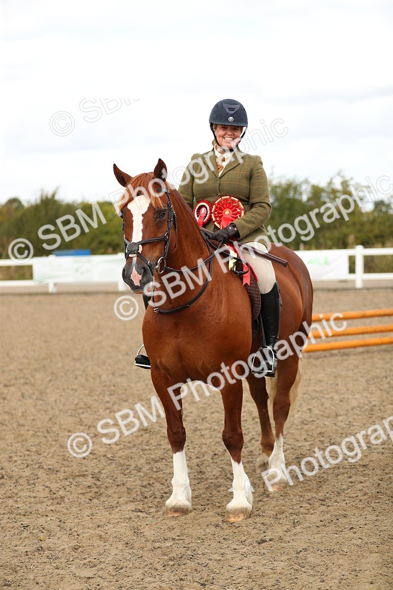 SBM_04878 - Class 47a Style & Performance 60cm (15-19)