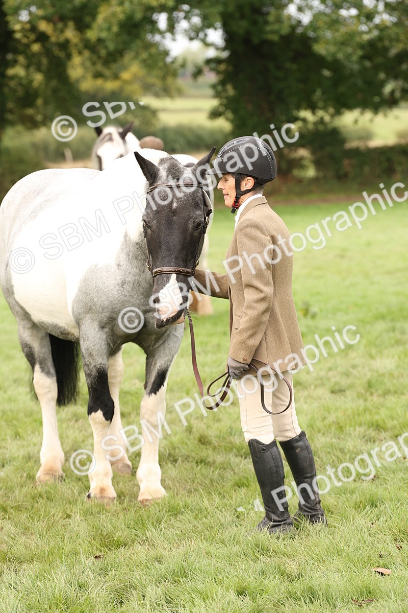 SBM_57518 - S56 - Show Cob in Hand