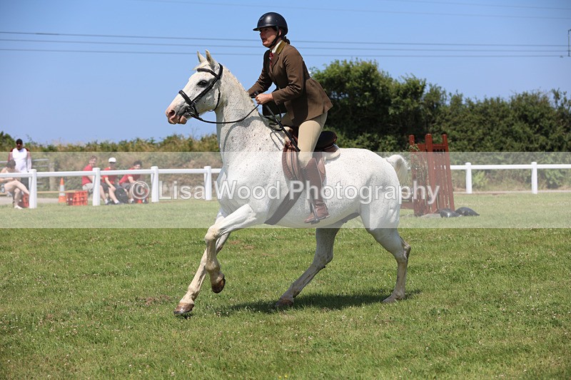 JPP_2684 - Class 21: Working Hunter 60cm