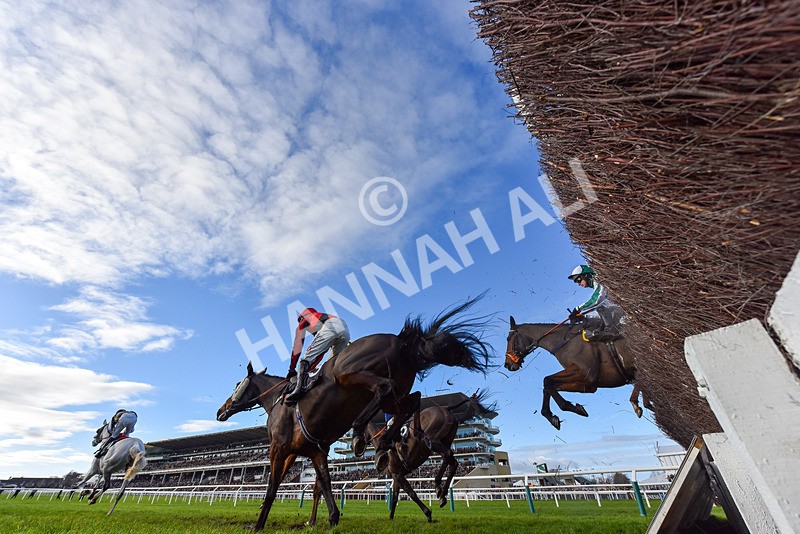 141224-Race 3-Game On For Glory-9342 - Race 3