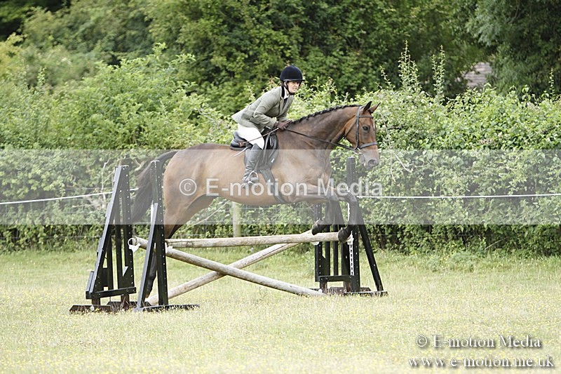 BVR160717-1658 - Ring 3 BVRC Show 16/07/17