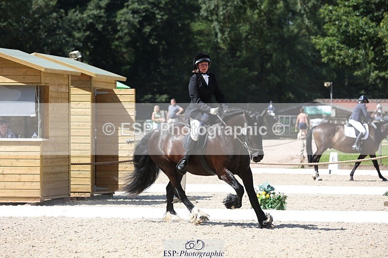 230811-120626-00991 - Cls 1 Prelim Bronze 11.10 to 12.35 break