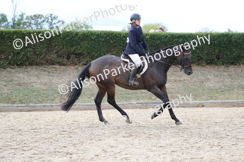 20260831-2613 - Class 15 - Ridden Retraining of Racehorses