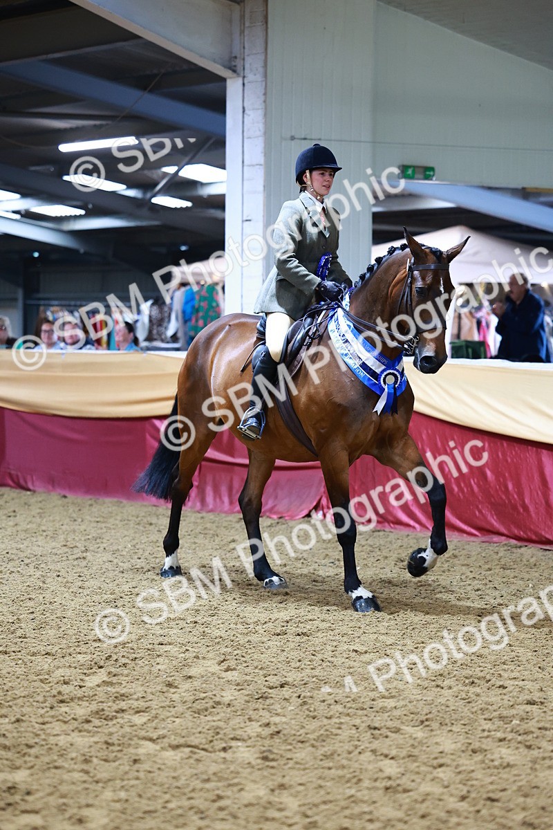 SBM_23871 - Supreme Final - Ridden Champ