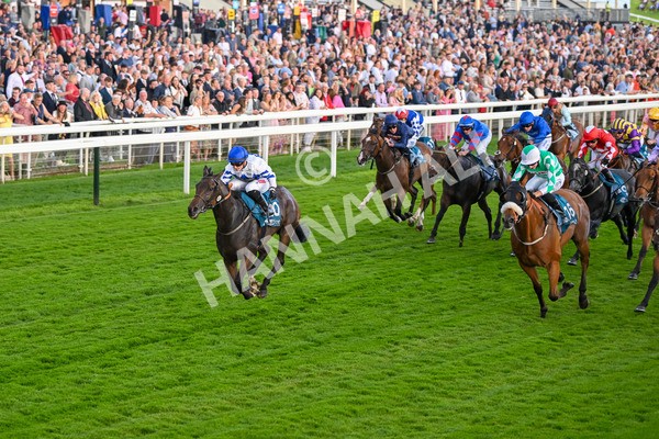 260724-Race 4-Dicko The Legend-5222 - Race 4 7.15pm Tomahawk Restaurants Handicap