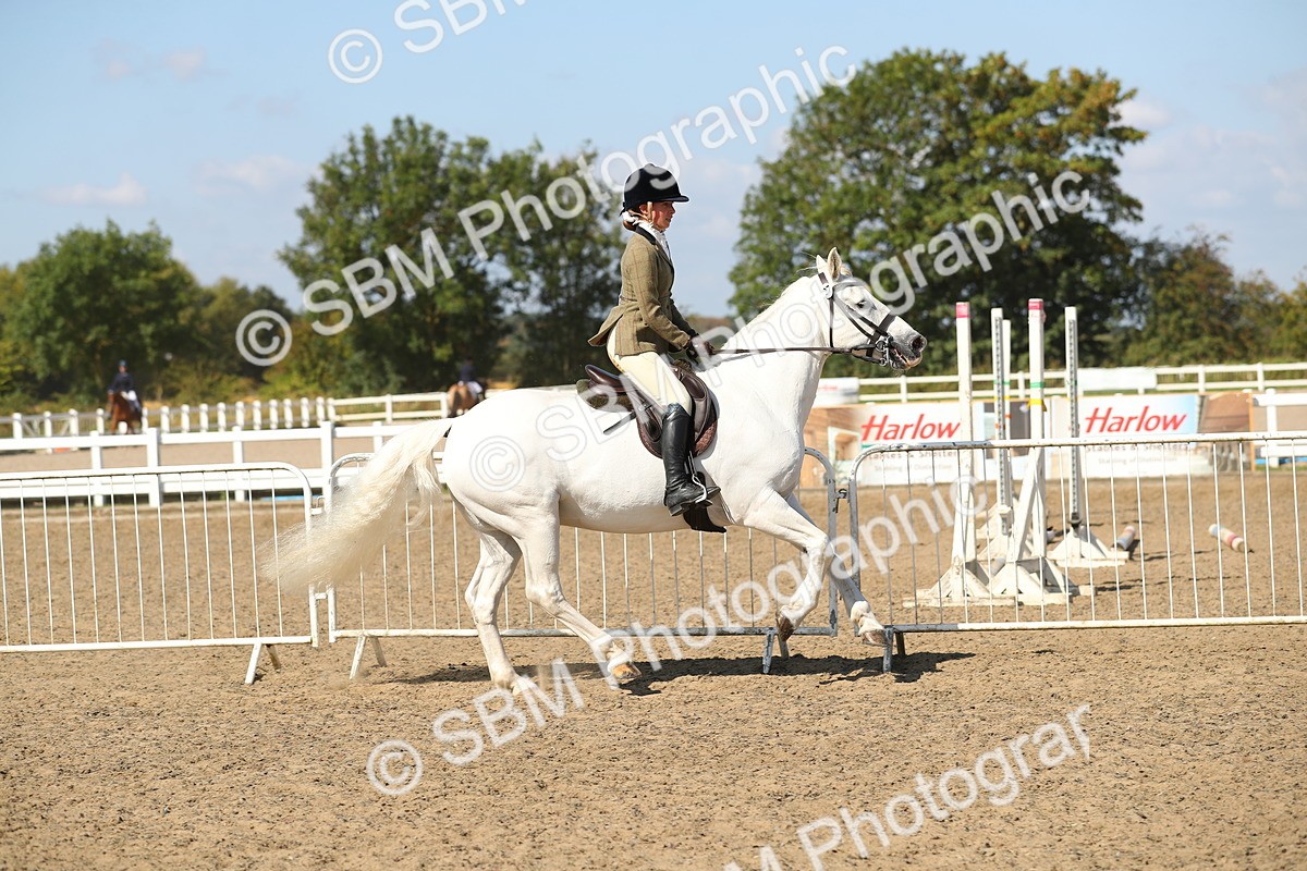 SBM_03147 - Class 44 Riding Club Horse/ Pony