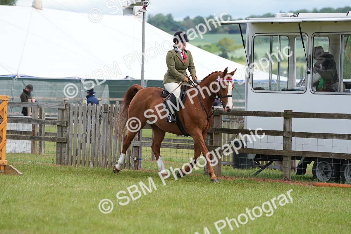 SBM_12915 - Class 99 - RIHS SEIB Working Show Horse
