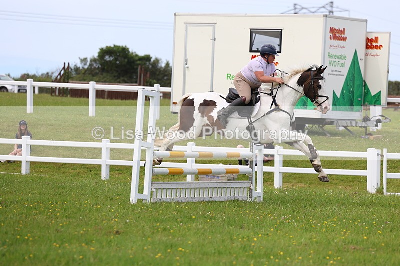 3E7A1701 - Class 13: Senior British Novice/90cm open