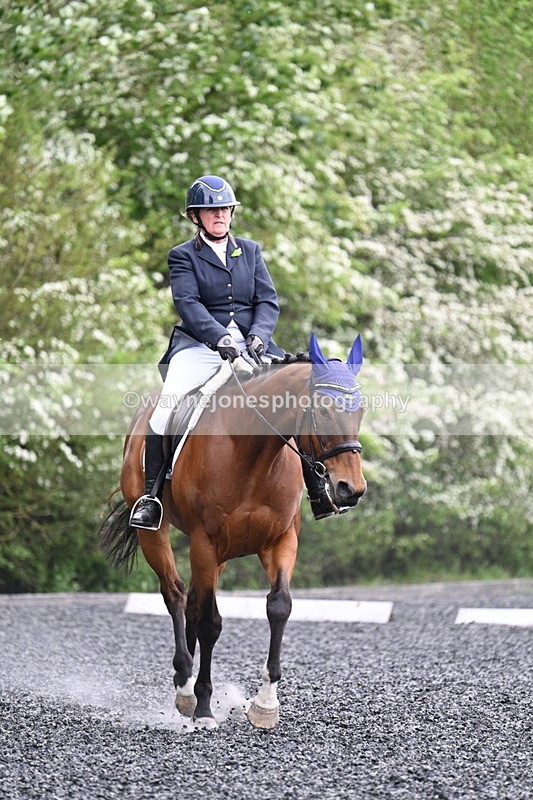 WJ7_1260 - Time 14:16 to 14:55