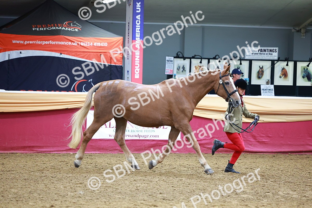SBM_16172