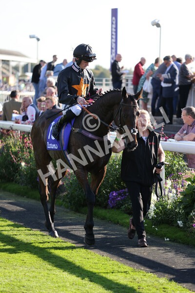 yr08102021r3-15 - Race 3 3.15pm Download The Casumo App Today Handicap