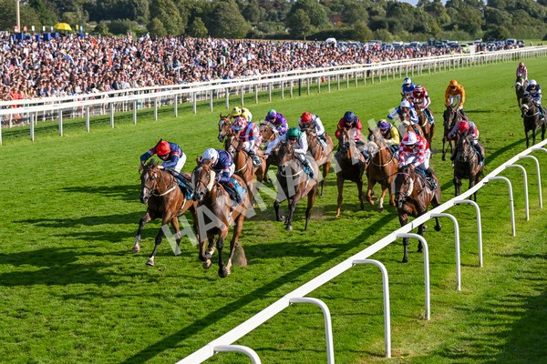 240824-Race 7-Sir Busker-1980 - Race 7 5.20pm Sky Bet Finale Handicap