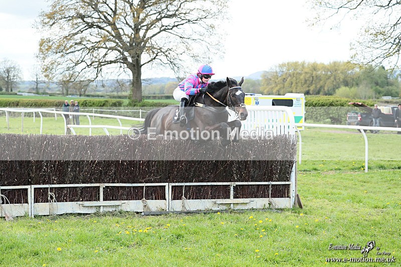 PtP 180426 105 - Worcestershire Hunt PtP Chaddesley Corbett 18/04/26