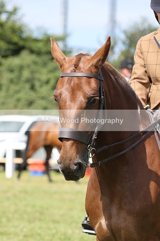 JPP_1377 - Class 17: Cornish Combination Open