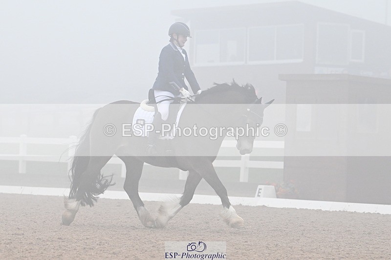 240217A-125403-02711 - 251-Alison.Crimp-Crwys.Beau