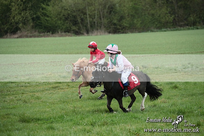 SHETPR 210425 196 - Shetland Ponies Paxford Races 21/04/25