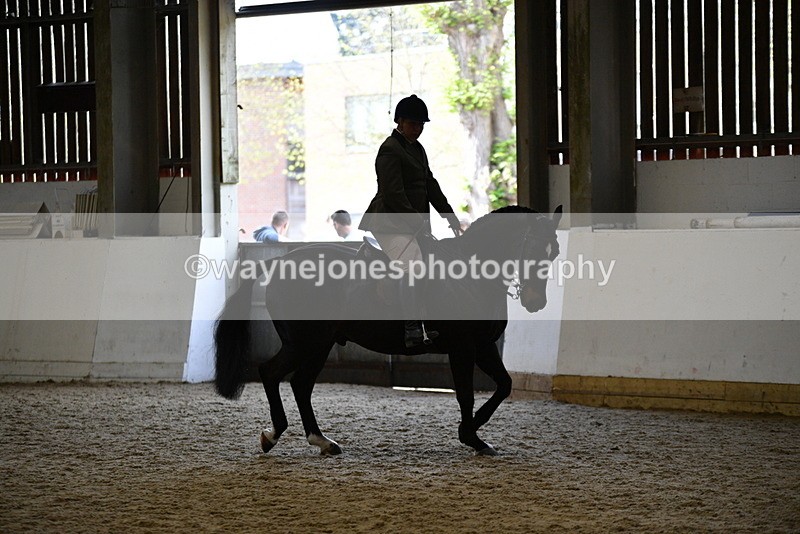 WJ5_6084 - Class 9 Ridden Veteran