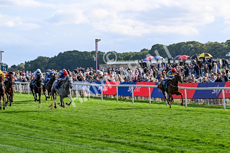 210826-Race 7-Silver Lake-7396 - Race 7 17.20pm Sky Bet EBF Fillies' Handicap