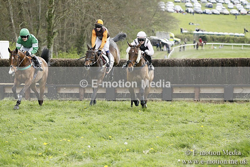 PtP 170417 167 - Old Berks Point-to-Point Lockinge 17/04/17