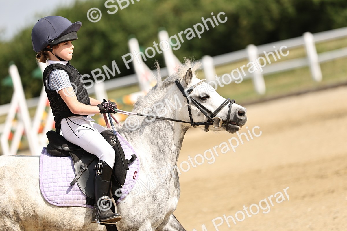 SBM_003484 - 50cm showjumping