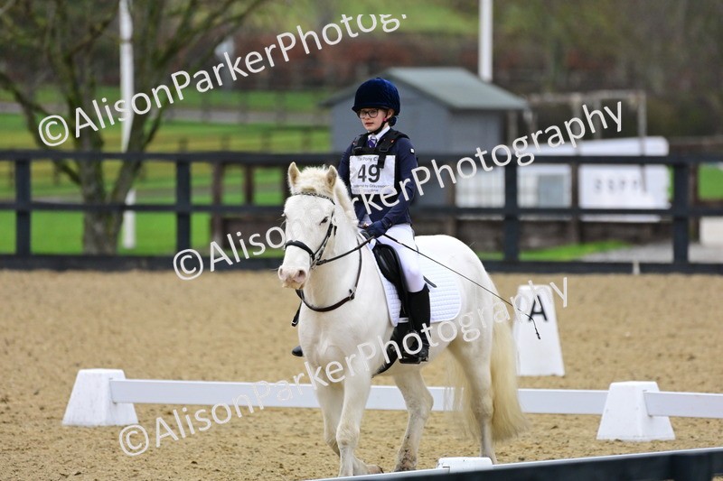 20260125-0573 - Class 9b - Walk Trot Unassisted