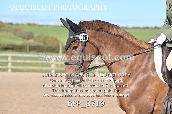 BPP_8719 - SHORT ARENA INTRO 2