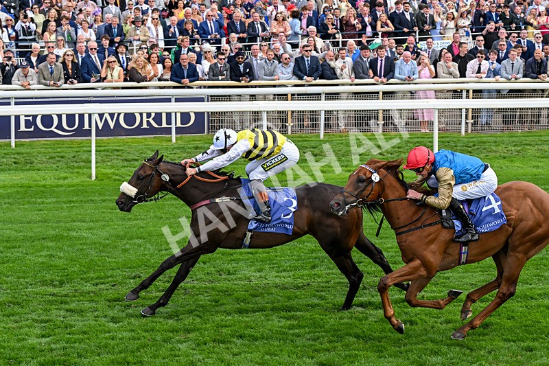 210826-Race 3-Arapaho Gold-0209 - Race 3 15.00pm Al Basti Equiworld Dubai Gimcrack Stakes