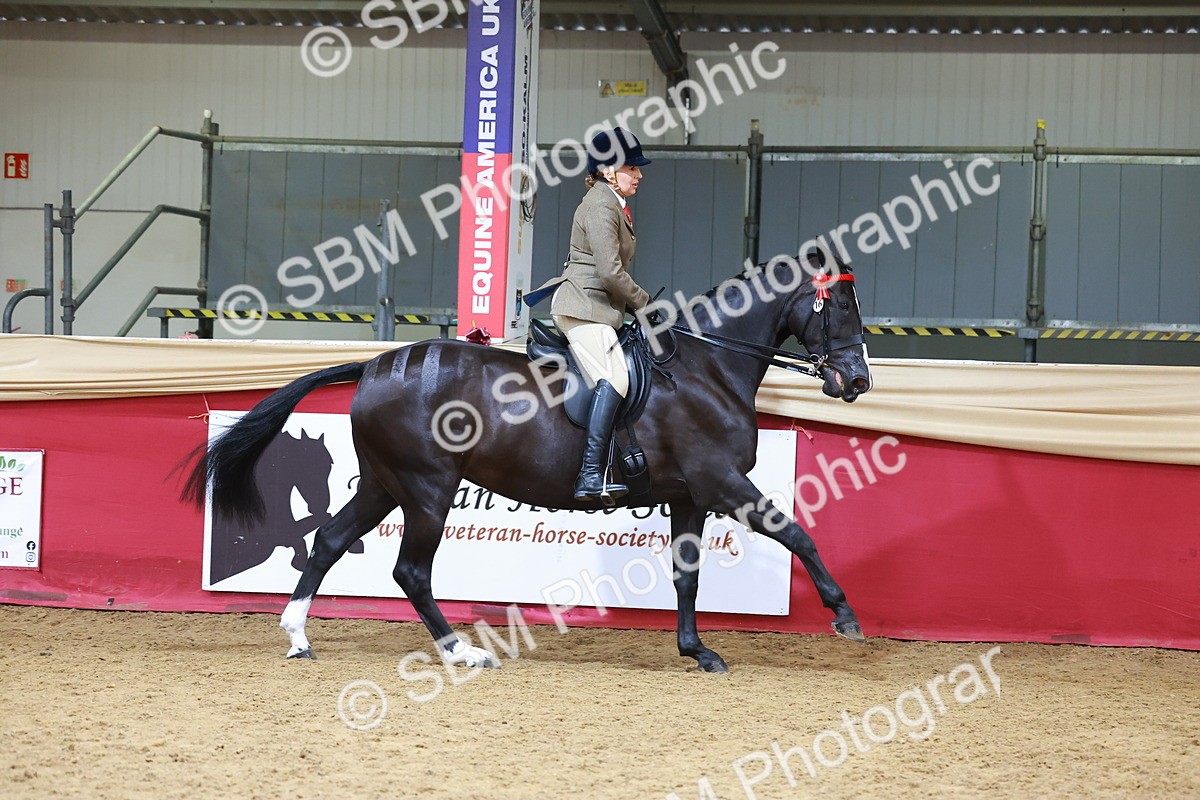 SBM_06210 - Class 12R - Ridden Pre-Vet