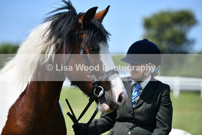 DSC_7759 - Class 64: Coloured Pony 4yrs & over