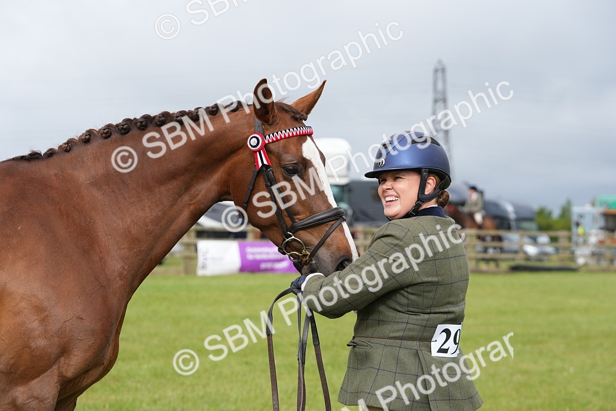 SBM_10628 - Class 97-98 - LIHS BSHA Rising Star Working Show Horse Hunter