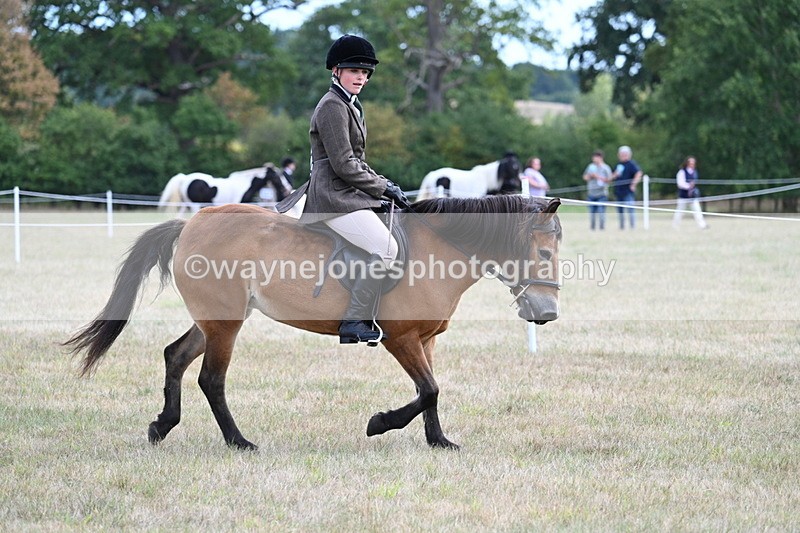 WJ7_5947 - Class 13 Ridden Veterans